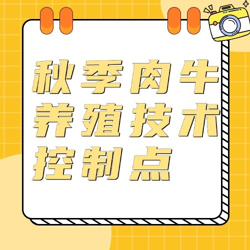 秋季肉牛养殖技术控制点