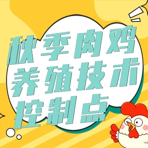 秋季肉鸡养殖技术控制点