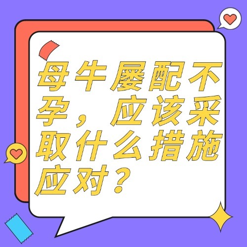 母牛屡配不孕，应该采取什么措施应对？
