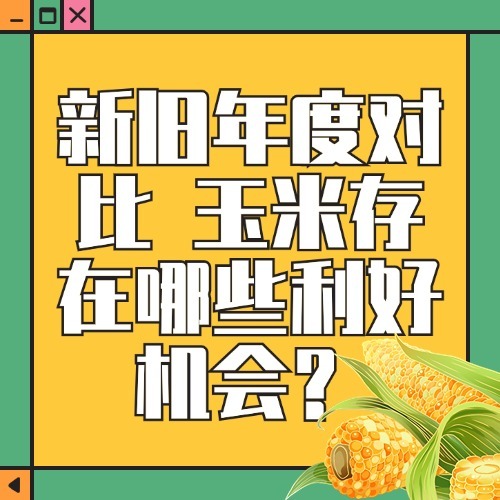 新旧年度对比 玉米存在哪些利好机会？