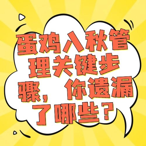 蛋鸡入秋管理关键步骤，你遗漏了哪些？