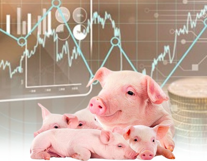 二育出栏加快利空市场，全国猪价再度走低