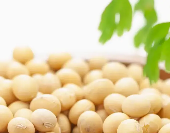 月度总结！十月份全国大豆内外盘价格走低