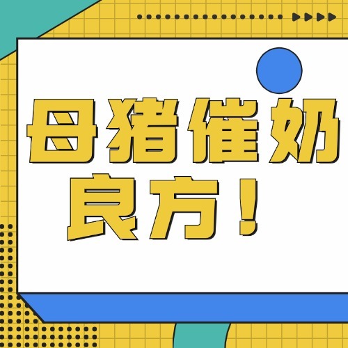 母猪催奶良方！