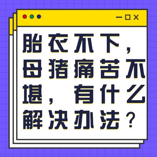 胎衣不下，母猪痛苦不堪，有什么解决办法？