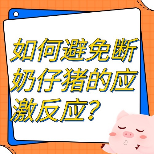 如何避免断奶仔猪的应激反应？