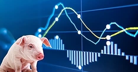 12家上市猪企10月出栏量大增 龙头企业季度盈利或将维持改善态势