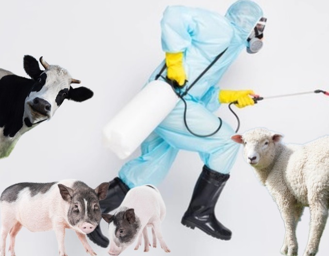 云南大力推进基层动物卫生监督站点规范化建设