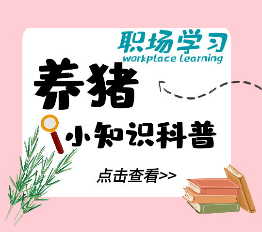影响仔猪免疫系统发育的因素有哪些？很多养猪人都不知道