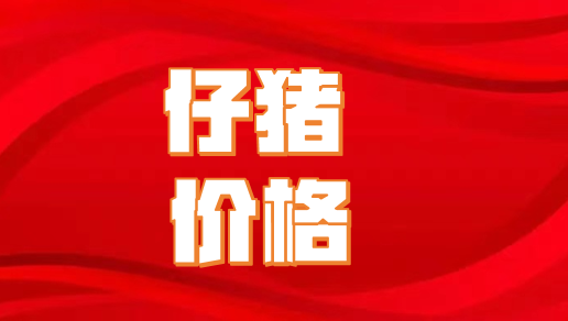 11月15日全国各省市10公斤仔猪价格行情报价