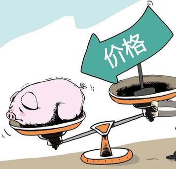 猪价连续2个月下跌！何时迎来反弹？大批走私冻肉被查获...