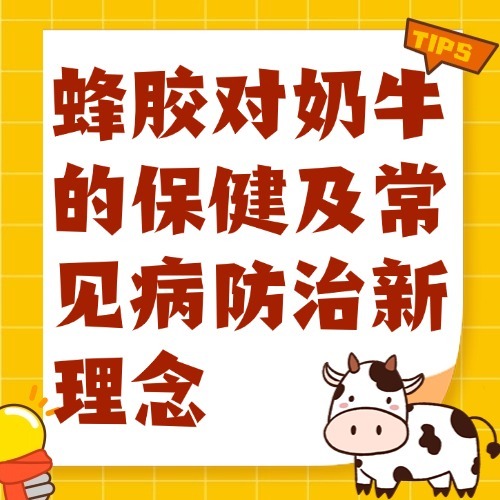 蜂胶对奶牛的保健及常见病防治新理念