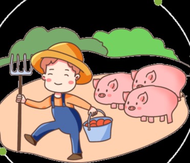 后备公猪的饲养管理要点