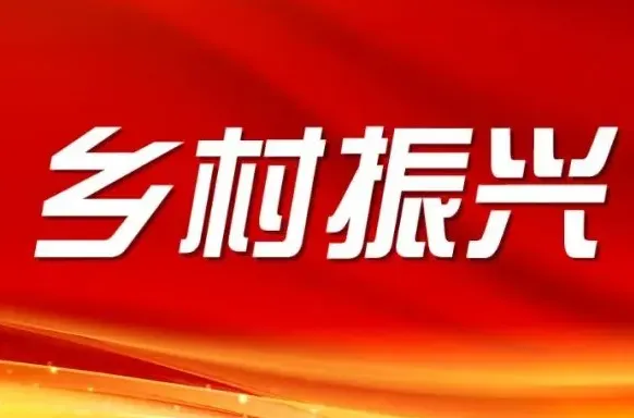 国际“牛市”何时传导国内“牛市”？
