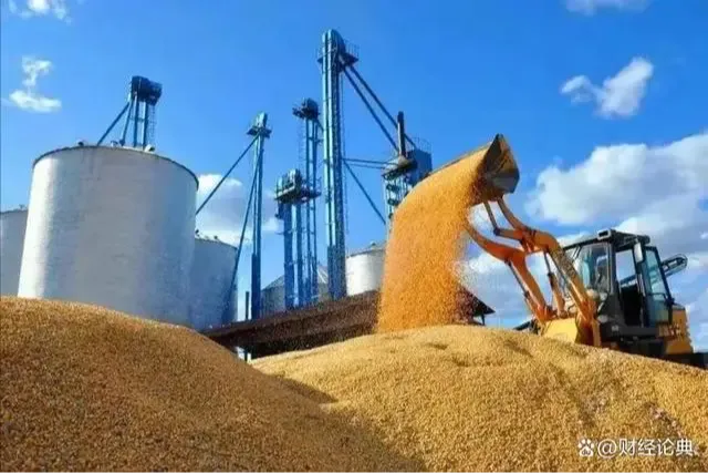 中储粮公布新增收储库点 后续玉米市场或将迎来转机