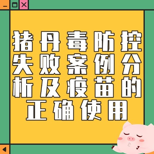 猪丹毒防控失败案例分析及疫苗的正确使用