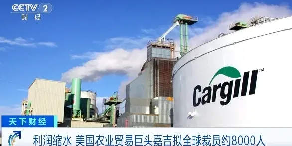 突发！农业巨头嘉吉公司宣布：拟全球裁员约8000人