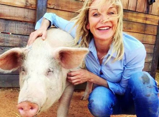 一夜“飙升”，猪价“涨猛了”！附：12月11日猪价