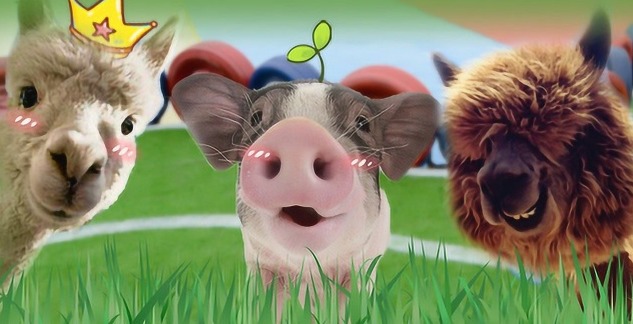 猪场牛人分享“三天”管理法则，让你养猪更轻松！