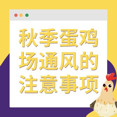 秋季蛋鸡场通风的注意事项