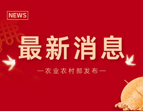 农业农村部：生猪产能调控有成效，预计全年头均盈利约200元