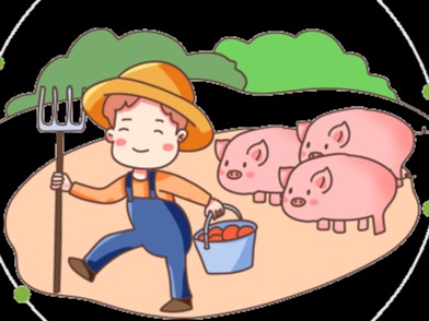 如何挑选后备母猪