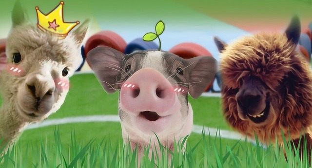 大国院士丨院士养猪——专访中国工程院院士印遇龙