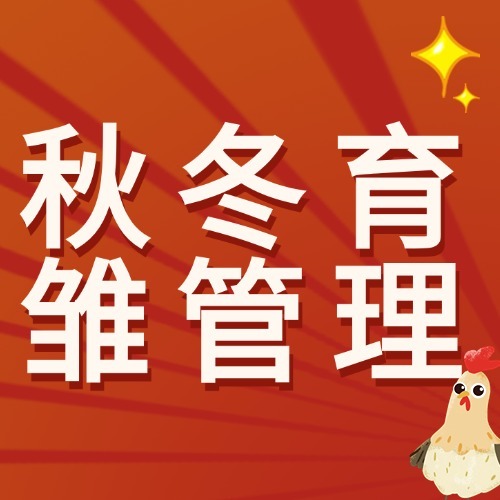 秋冬育雏管理