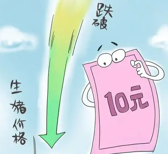 一夜“遇冷”，猪价下跌“势如破竹”！附：1月12日猪价