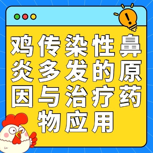 鸡传染性鼻炎多发的原因与治疗药物应用