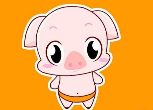 Mysteel解读：生猪收官之战，年前是否还有回旋余地？