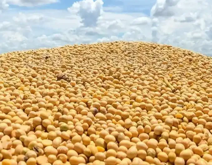 节后，豆粕打响第一枪，准备开涨了！