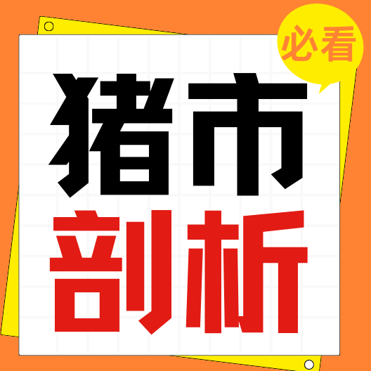 近期猪市行情深度剖析：价格起伏背后的市场博弈