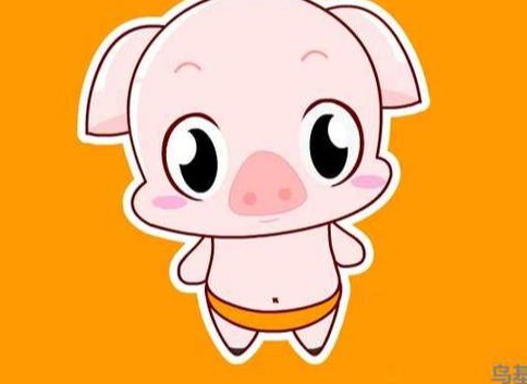 全国各地(2025.02.18）明日猪价