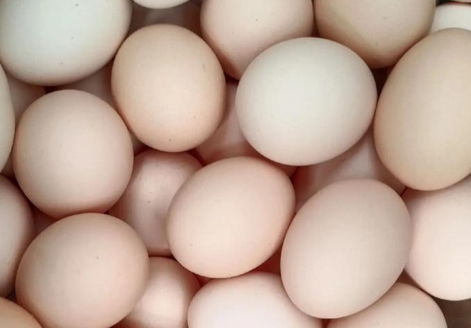 现在蛋价太低怎么办？