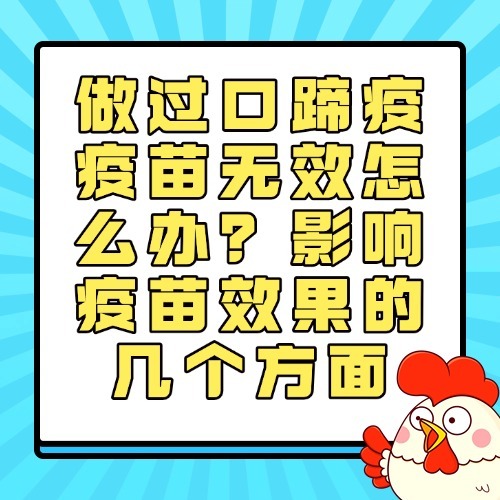 做过口蹄疫疫苗无效怎么办？影响疫苗效果的几个方面