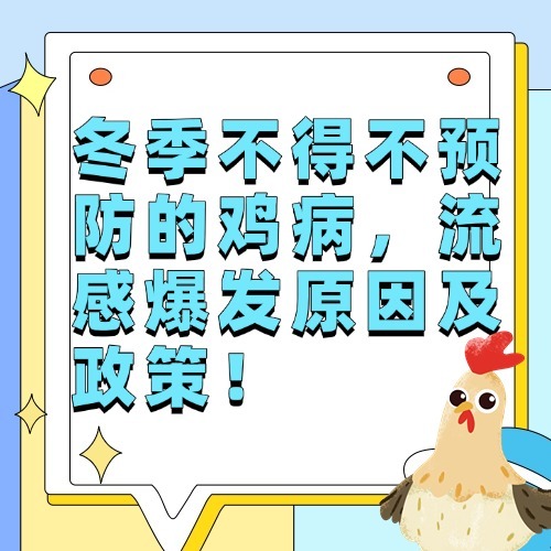 冬季不得不预防的鸡病，流感爆发原因及政策！