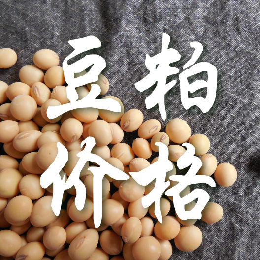 “抛储”降不了温，豆粕的强势能强势到什么时候？