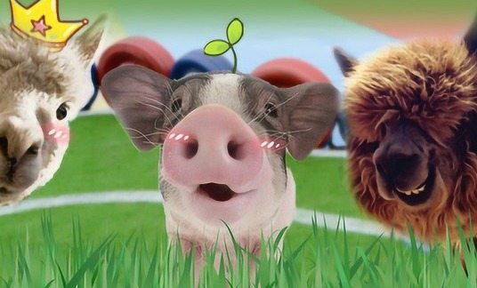 关注！00后女生回应进场养猪：月薪8000，很喜欢这份工作，没有复杂人际关系