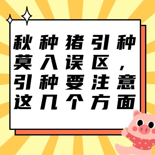 种猪引种莫入误区，引种要注意这几个方面