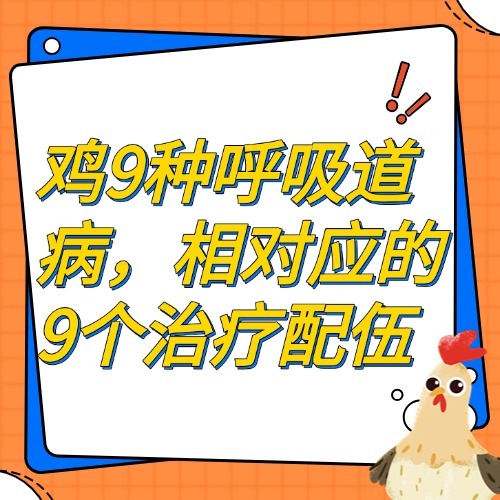 鸡9种呼吸道病，相对应的9个治疗配伍