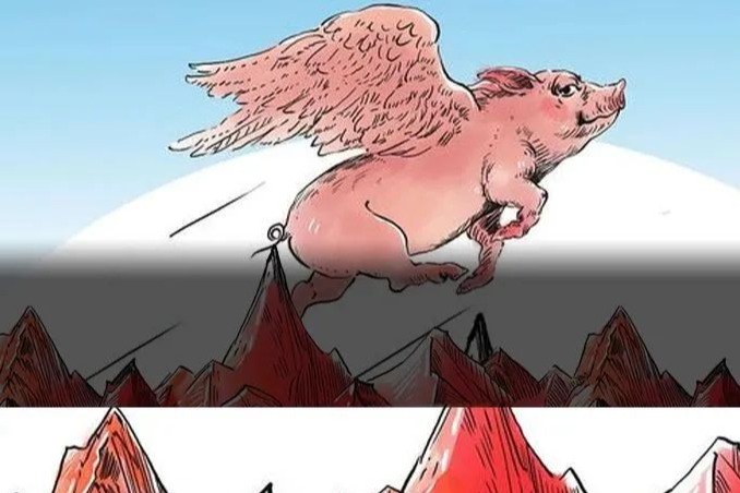 仔猪喂养需要注意什么？