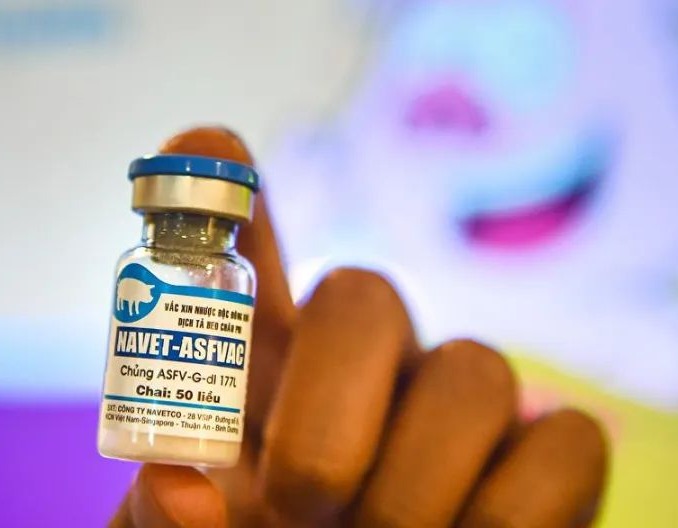 最新研究显示:越南非瘟疫苗有严重安全性问题