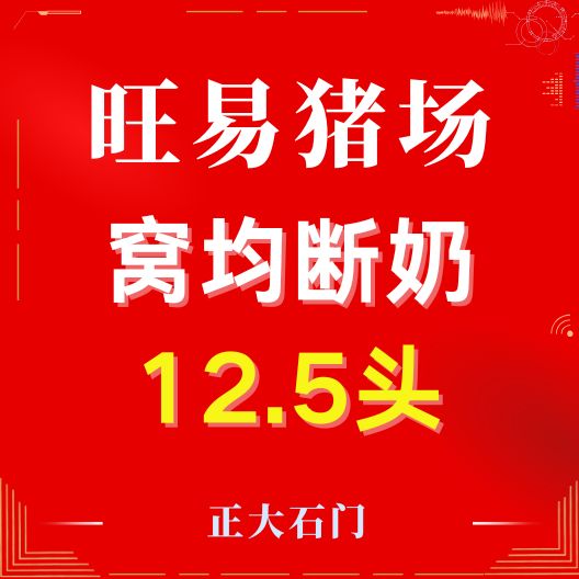 用心服务，再创佳绩——热烈祝贺旺易场首批仔猪断奶窝均12.5头！
