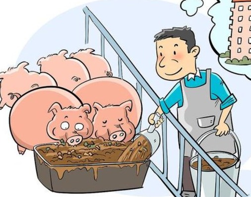 家庭农场与规模猪场在数据成本管理的认知现状及形成原因存在差异原因分析