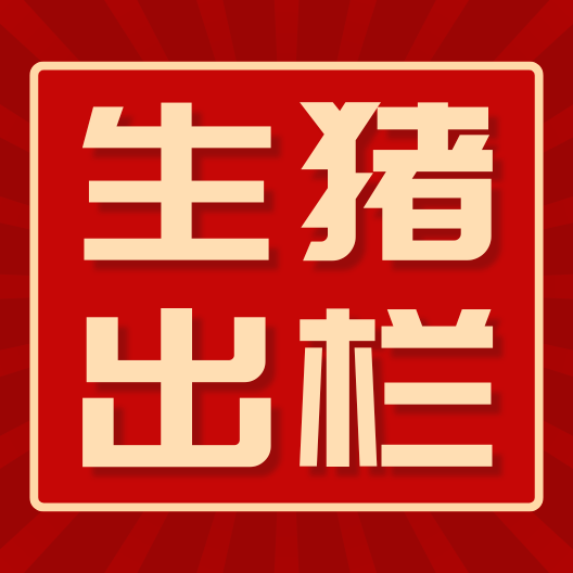 北方仔猪市场回暖，2025年生猪出栏压力或成行业焦点