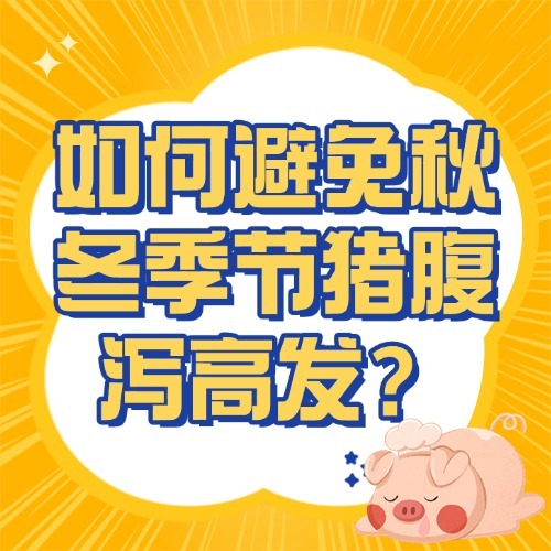 如何避免秋冬季节猪腹泻高发？