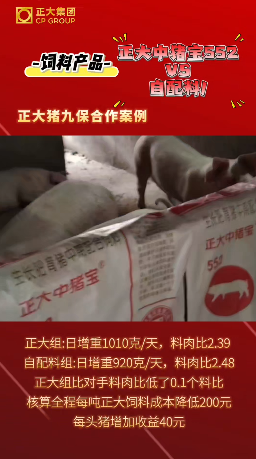 正大猪九保合作案例：正大中猪宝552对比试验