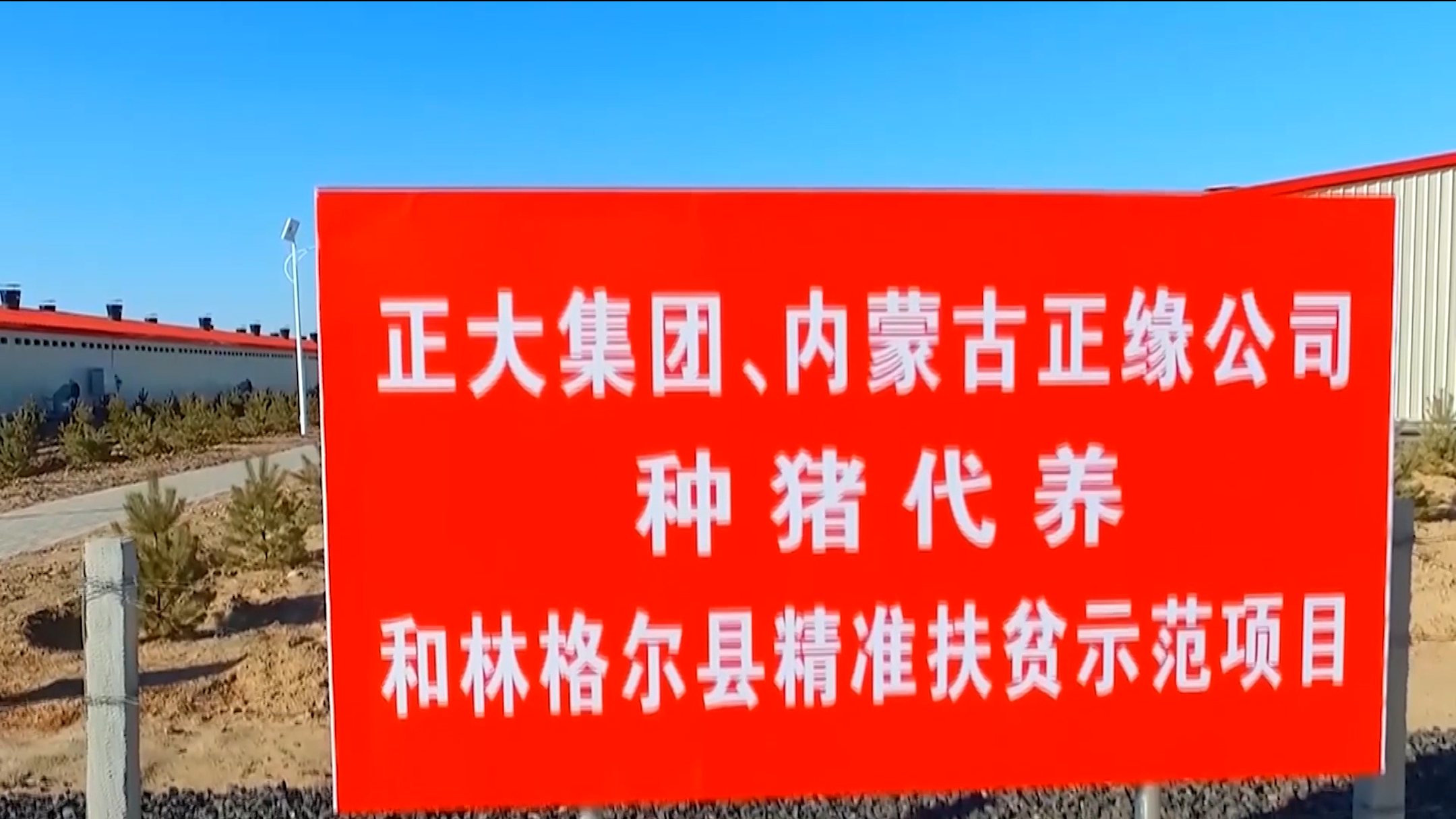 内蒙正大生猪养殖产业化