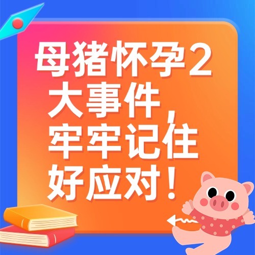 母猪怀孕2大事件，牢牢记住好应对！